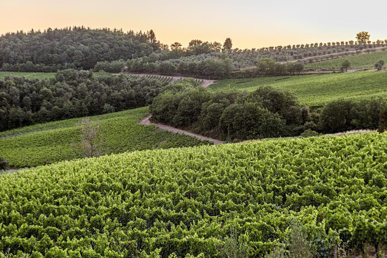 カステッリーナ・イン・キアンティ シエナ Agriturismo Concadoroヴィラ エクステリア 写真