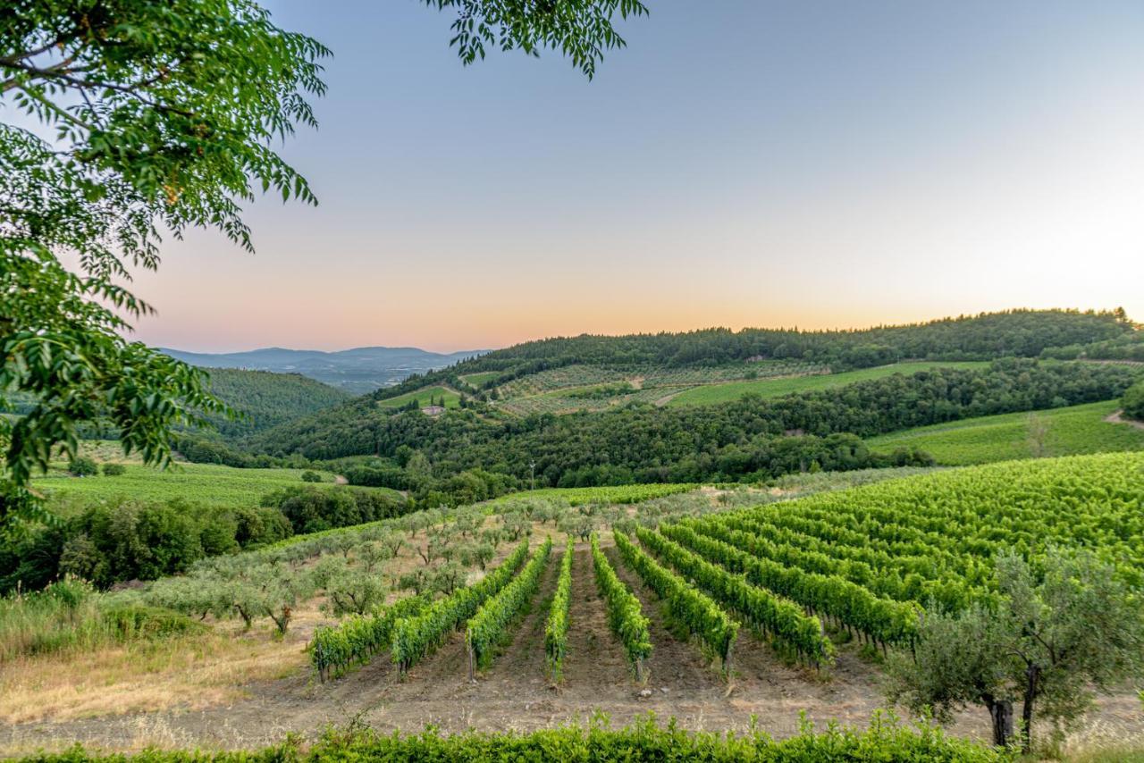 カステッリーナ・イン・キアンティ シエナ Agriturismo Concadoroヴィラ エクステリア 写真